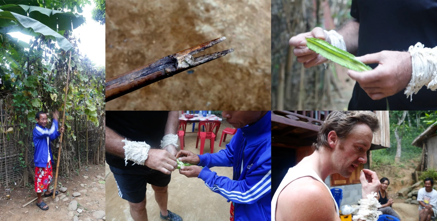 By reaching high into the trees which grow within the village, it extracts a fruit (top right) and when you break it open, it yields seeds which Charlie was first to try. "Hey, these are exactly like garden peas", said Charlie.