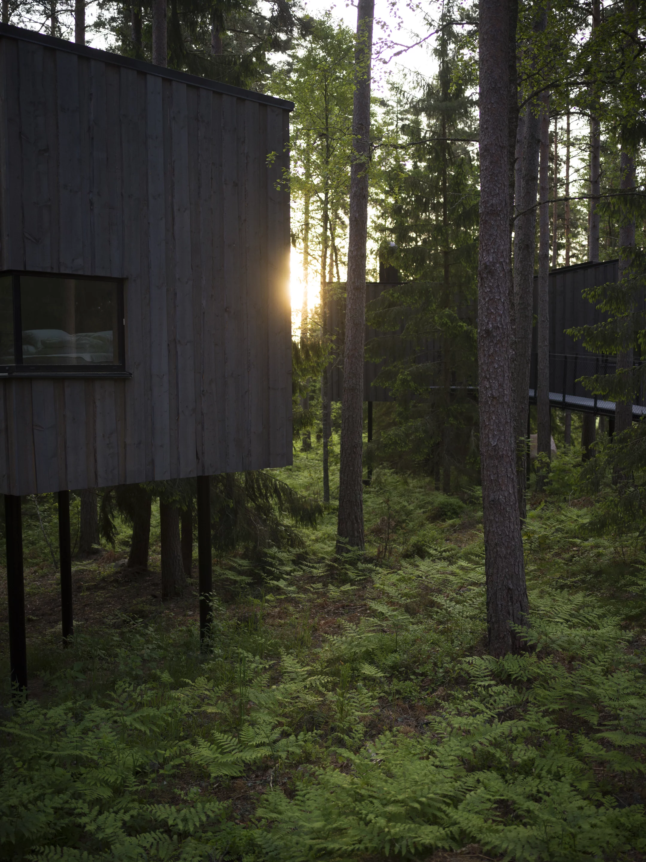 Trakt Forest Hotel boasts five timber cabins that float above the ground