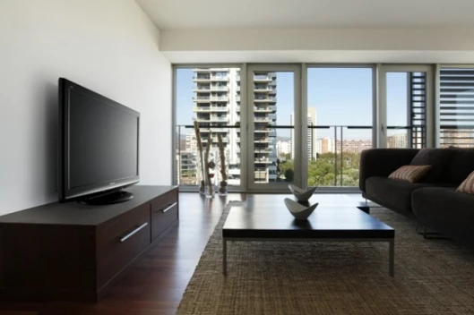 Panasonic 2009 TV range (TH-P42S10A)