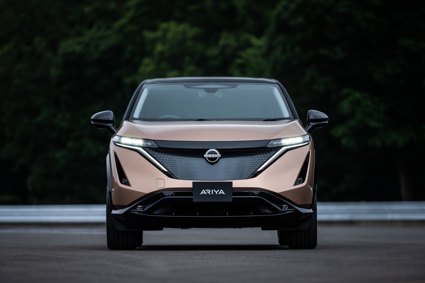 The grille has been replaced by a shield that protects the ProPilot sensors