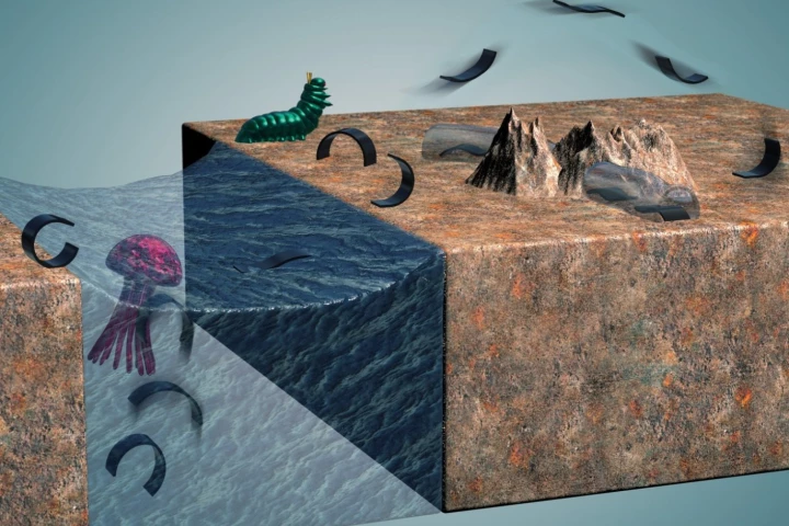 Max Planck researchers have developed a millirobot that can walk, crawl, jump, climb, roll, swim and carry loads