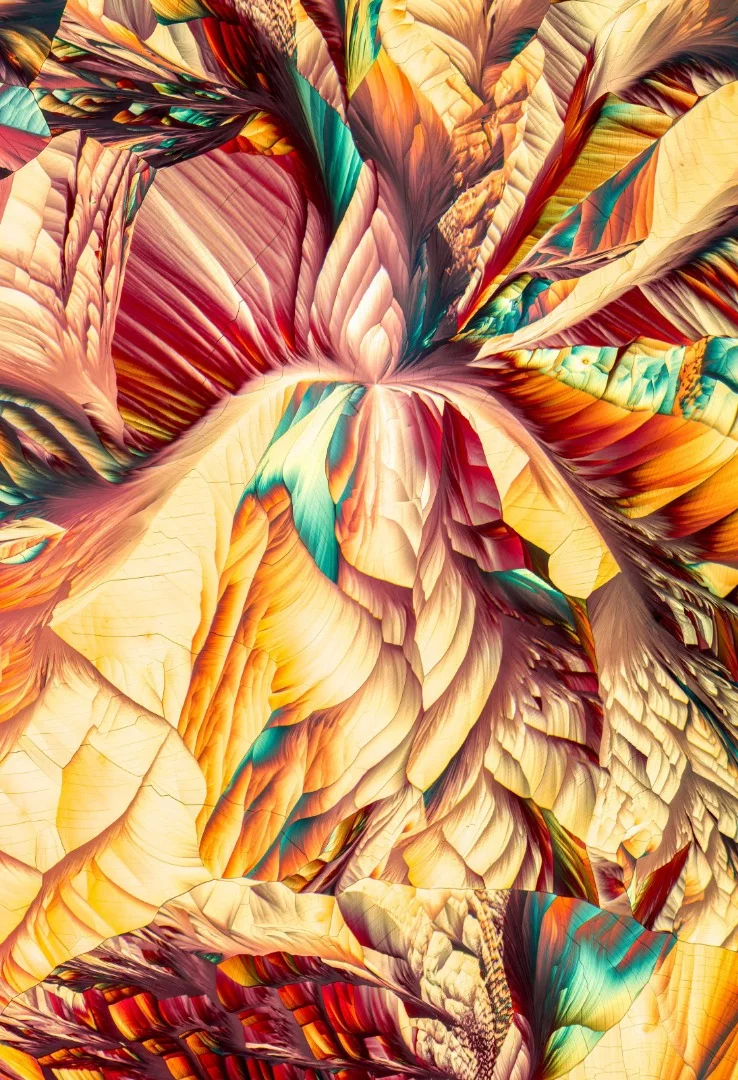 18th Place, Amino acid crystals (L-glutamine and beta-alanine)