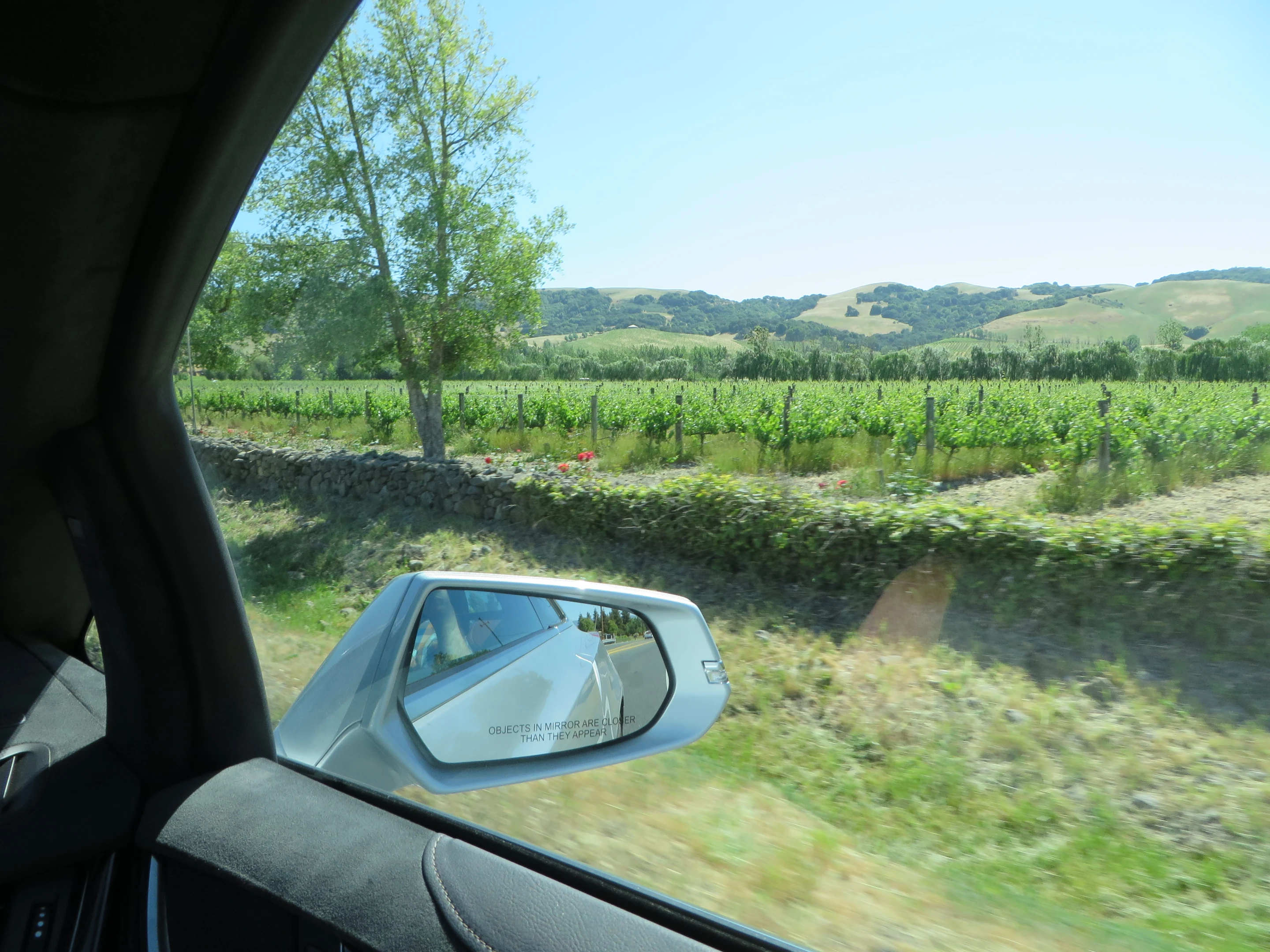 Real world passenger view