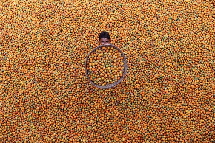 APAC Winner. M Yousuf Tushar "Betel Nut", taken Coxbazar, Bangladesh