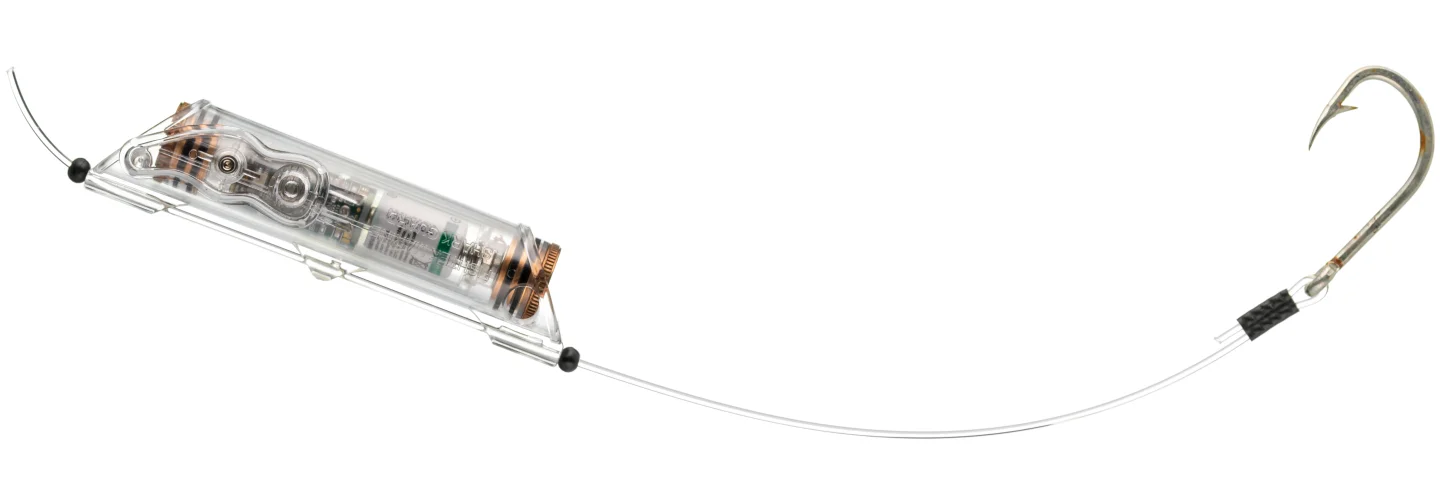 Fishtek Device generates electrical fields to keep sharks away from fish hooks