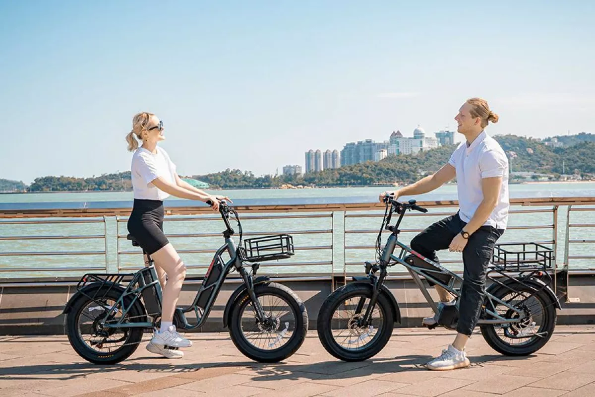 The Gemini Series cargo ebikes are each rated for 400 lb total load capacity
