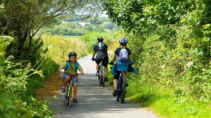 Local attractions and activities include bike riding