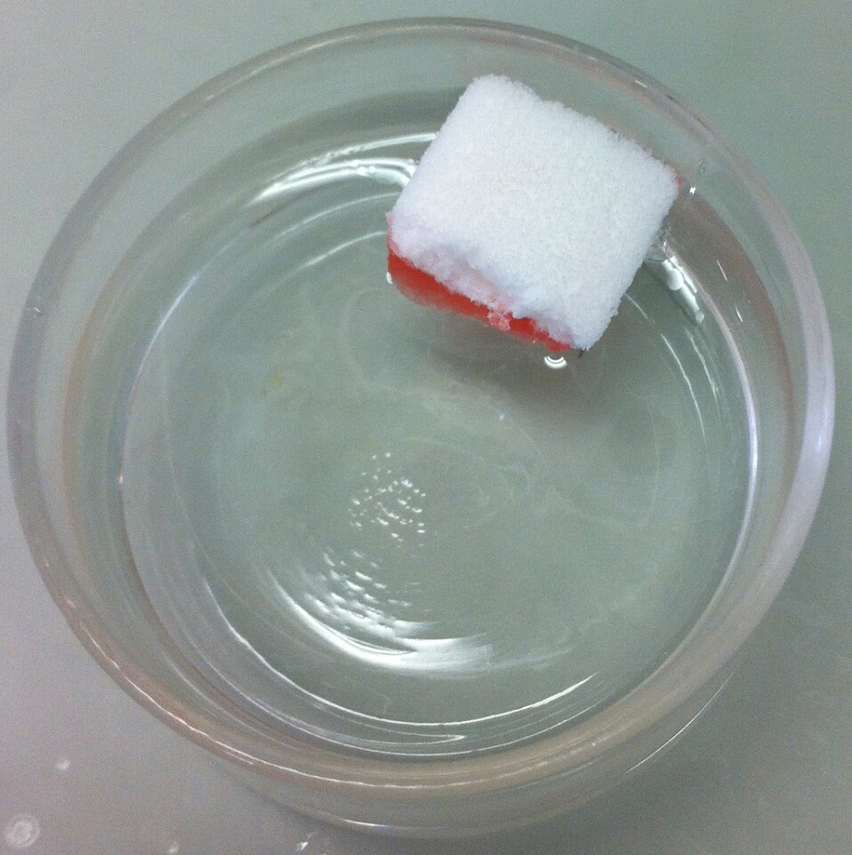 Sponges made from wood waste may soak up oil spills