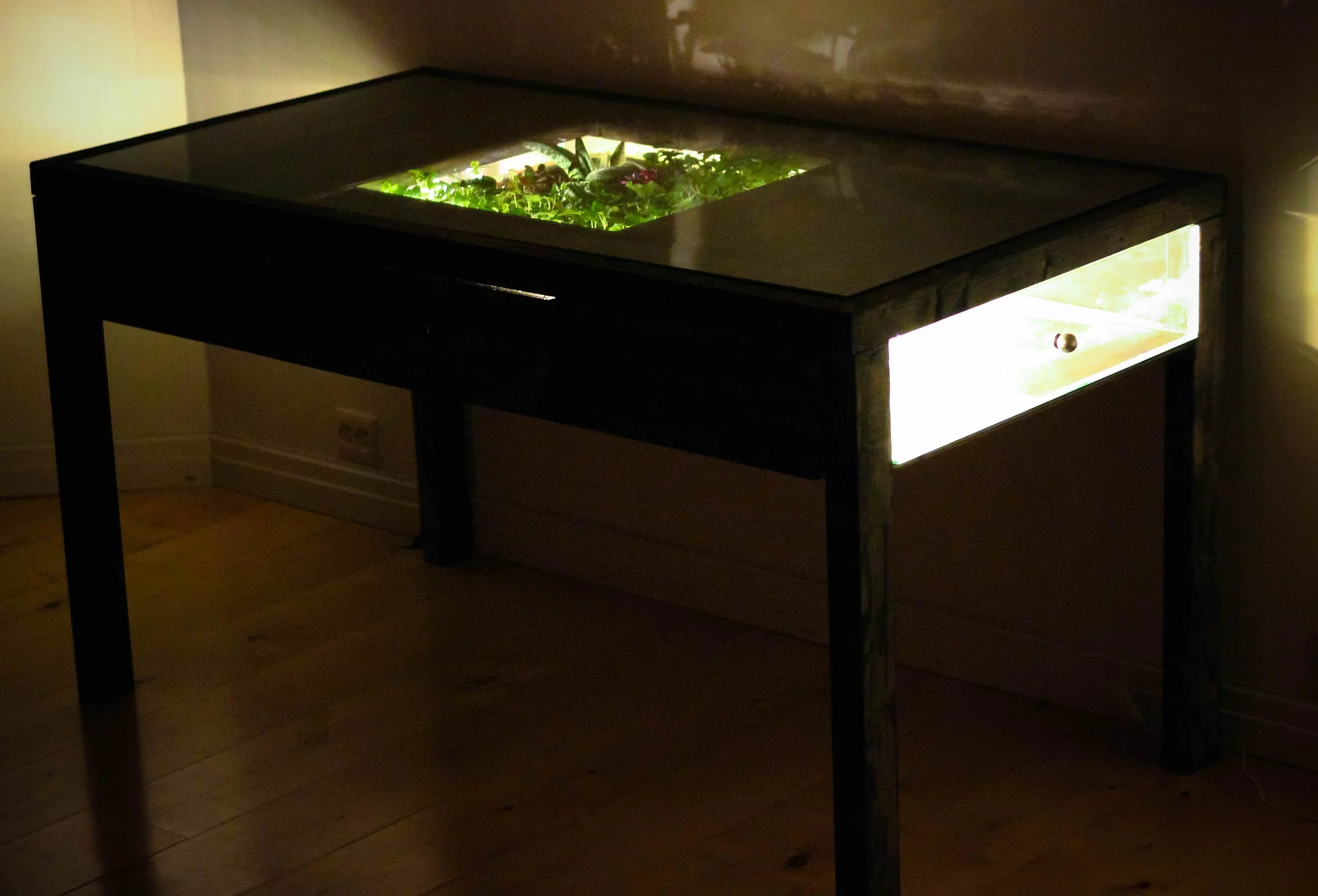 Terrarium Desk unencumbered by the detritus associated with working from home (Photo: Daniel Zeller)