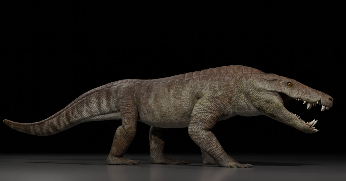 Ancient croc "hypercarnivore" ate dinosaurs for breakfast
