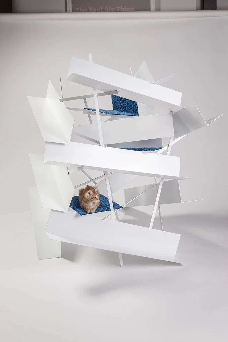 We're not sure what this is, by LEHRER ARCHITECTS, but the cat looks comfy at least (Photo: Grey Crawford)