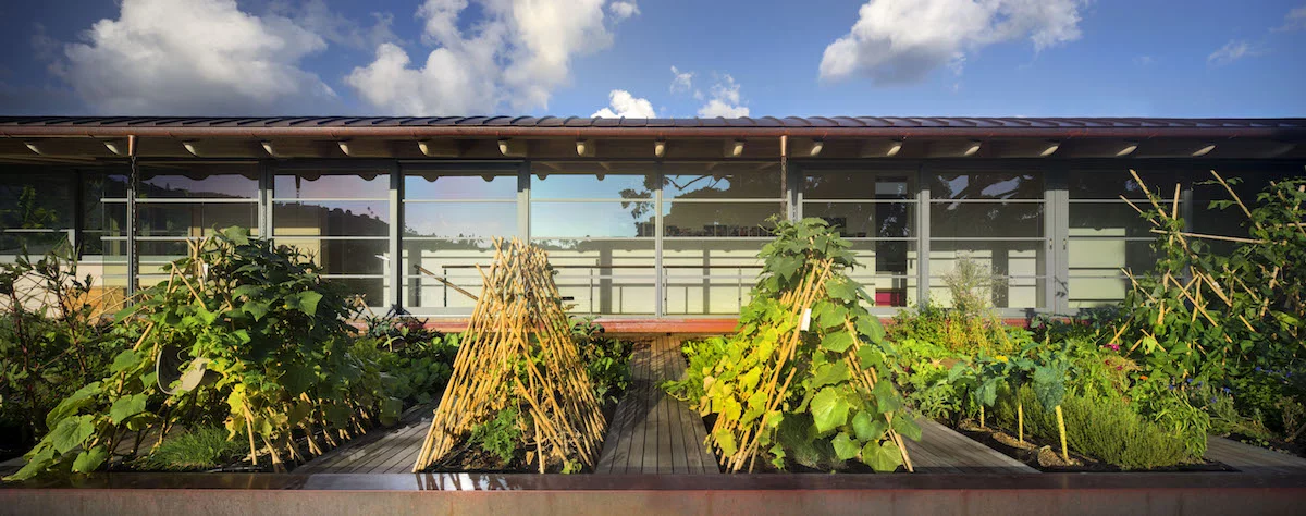 Honolulu's Island Residence was also designed by Bohlin Cywinski Jackson and is dominated by deep roof eaves which extend outward, providing shelter and prolonging the lifespan of the materials underneath