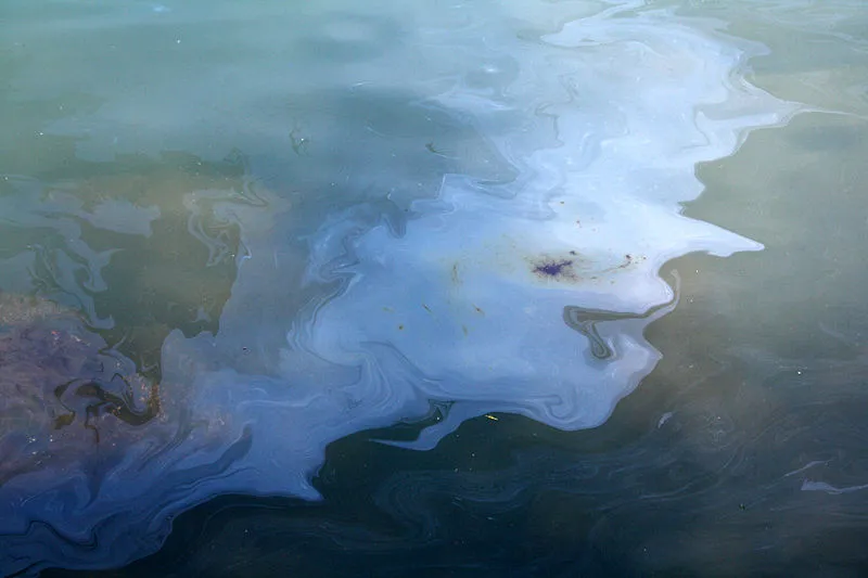 A newly-developed magnetic soap could be used to minimize the environmental impact of oil spill clean-ups (Photo: Mila Zinkova)