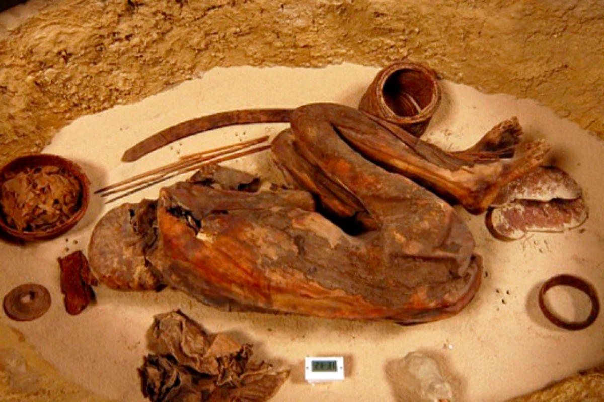 Chemical analysis of a mummy has now revealed that the mummification process was being performed 1,500 years earlier than previously thought, across a wider area
