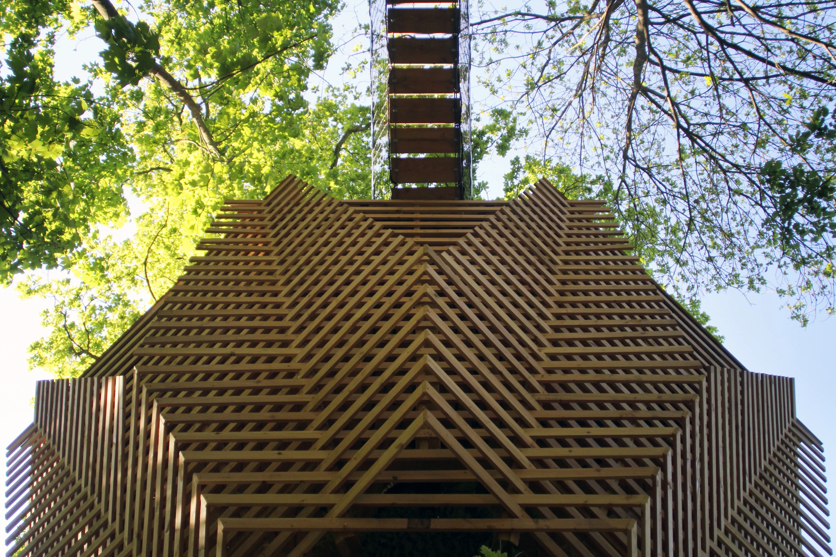 View from below, looking up at the Origin Treehouse