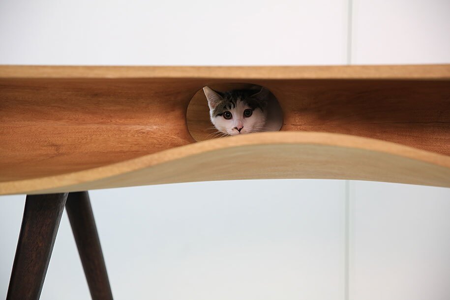This cat is thinking “Dad has forced me into this hole, and I shall remain here until the time is ripe to attack his unprotected crotch.”