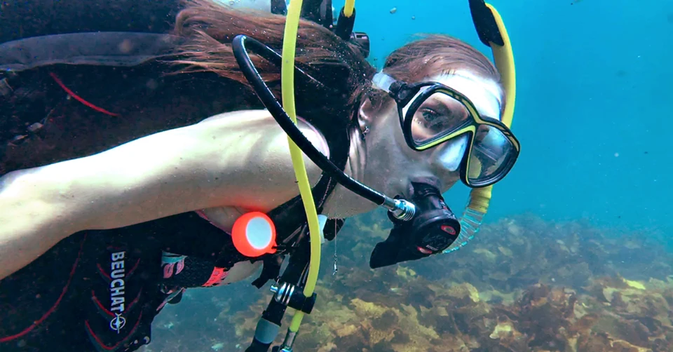 The Mazu dive tracker (the orange thing) is designed to learn its user's diving style