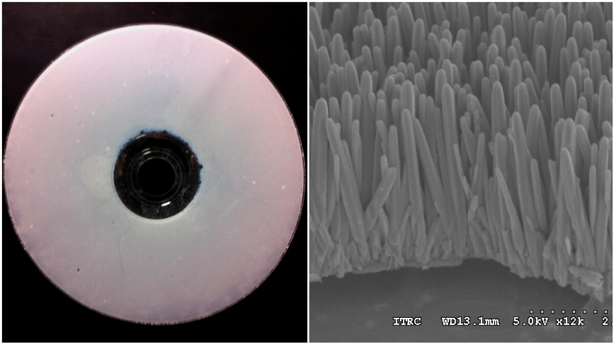 A nanorod coated disk (left) and an electronic microscope image of the grown nanorods (Images: Din Ping Tsai, National Taiwan University)