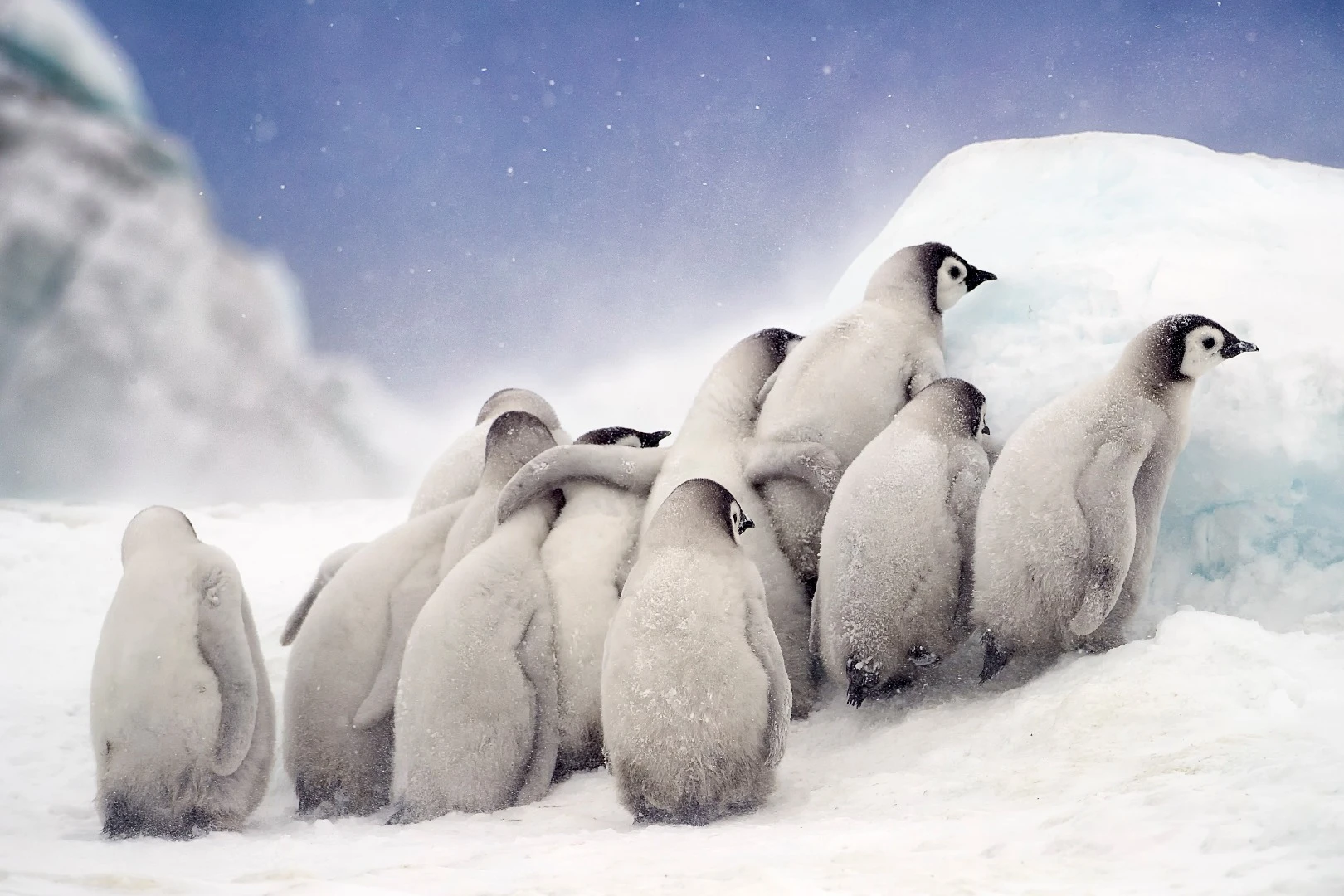 Snow Hill in Antarctica