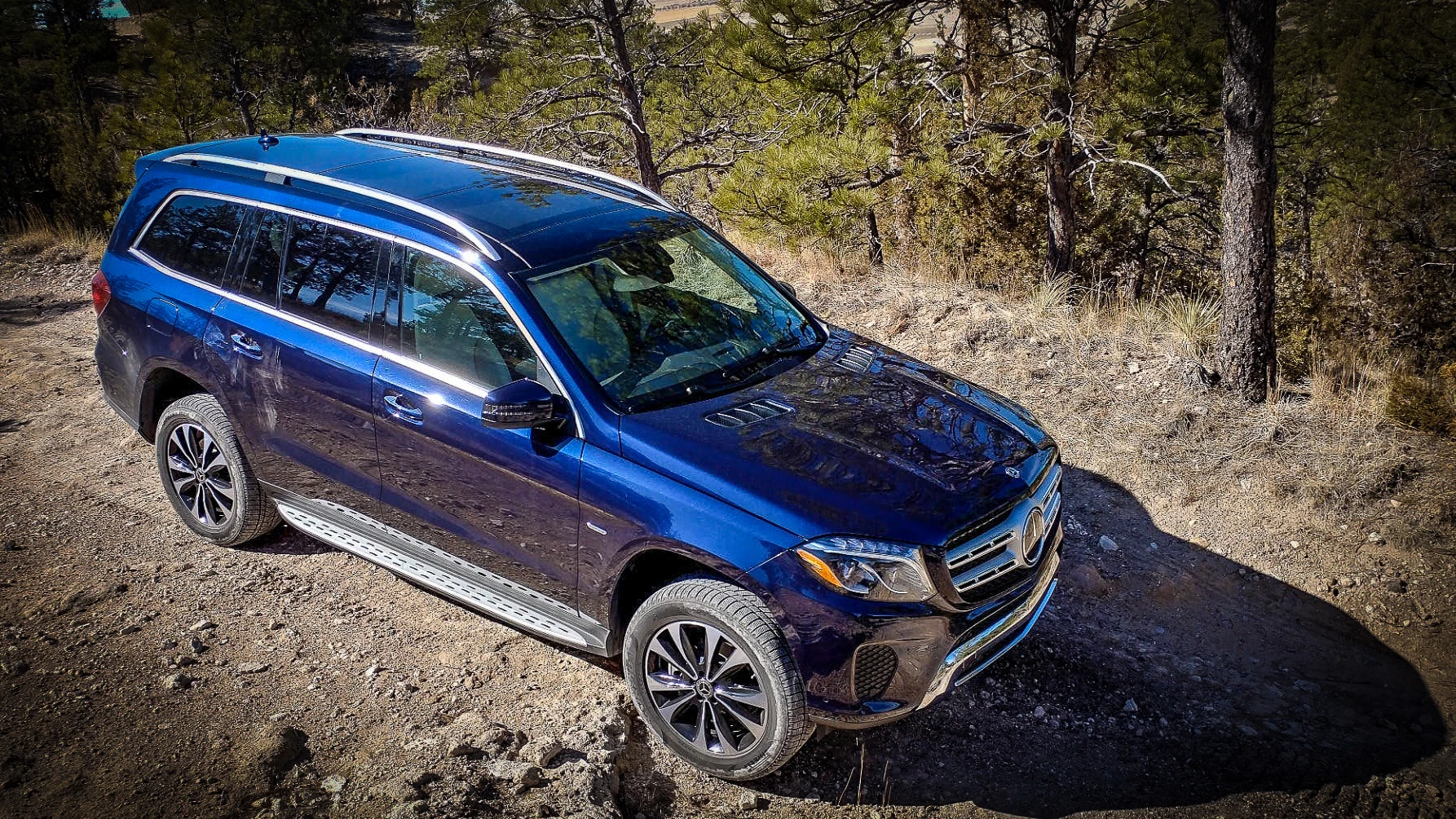 The 2019 Mercedes-Benz GLS can carry seven adults in comfort