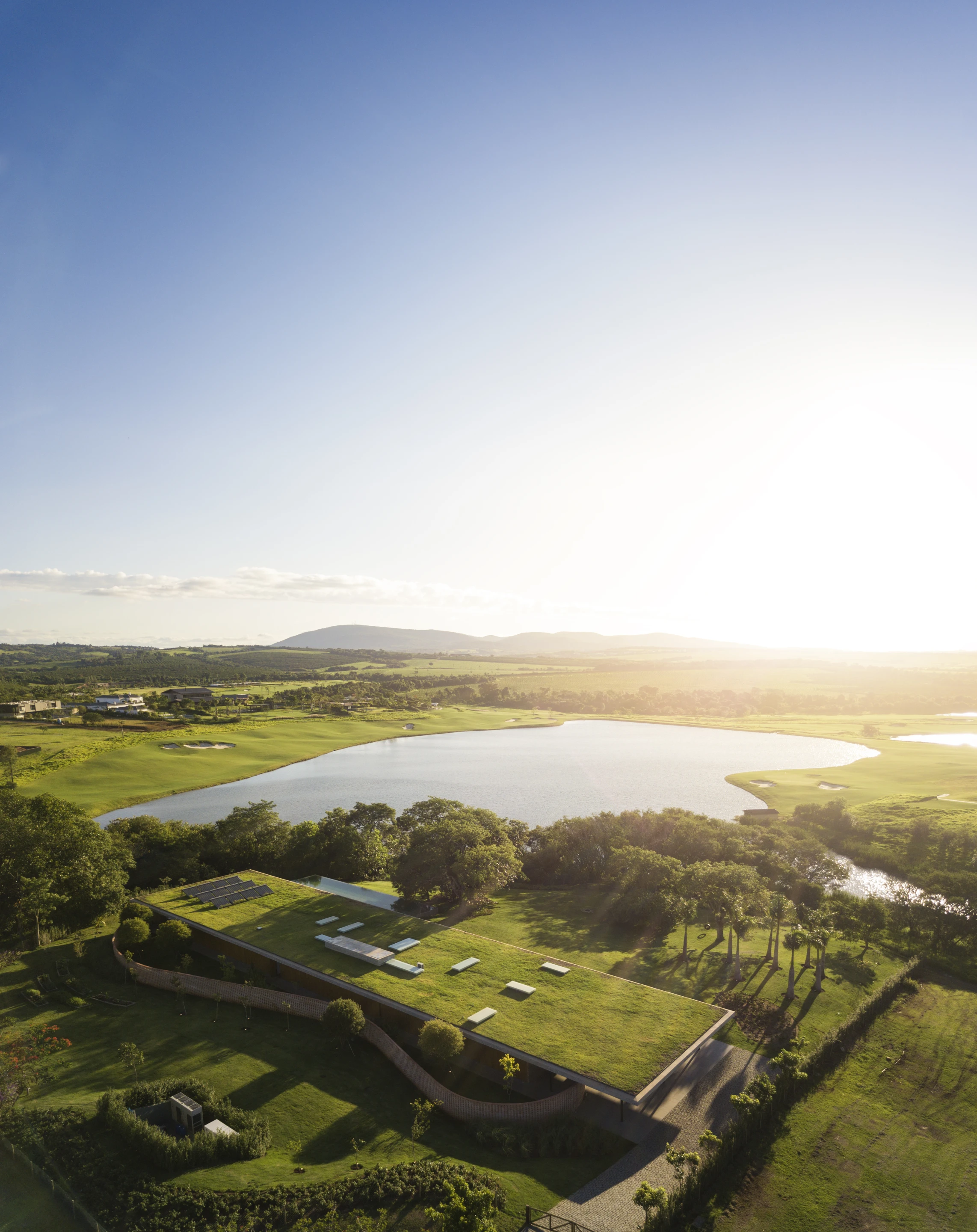 Planar House has an expansive green roof