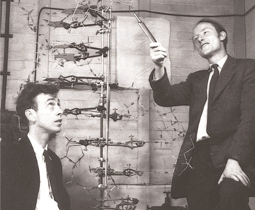Nobel Prize Medallions were once considered the embodiment of a monumental contribution to mankind, but of little monetary value. That was until Francis Crick's Nobel Prize for the discovery of the structure of DNA crossed the auction block in April 2013. The Nobel Prize medal won by Crick (alongside James Watson and Maurice Wilkins - that's Crick holding court above with a young James Watson watching on), sold at Heritage Auctions in April, 2013 for $2,270,500, fifty times more than any prior Nobel Prize medal had fetched. That price was then doubled 20 months later when Christie's sold James Watson's medal for $4,757,000 in December, 2014.