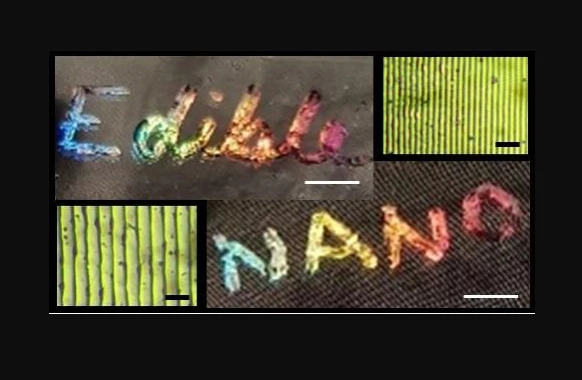 Examples of the team's edible holograms, along with microscope photos of the diffraction gratings
