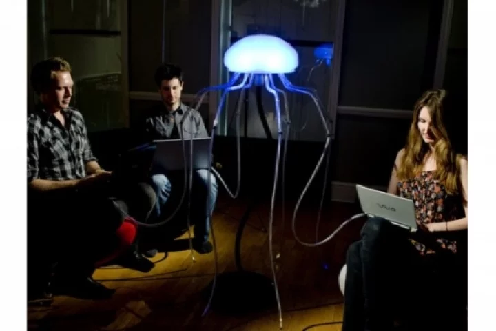 Enjoy a night in front of the Jelly Fish router