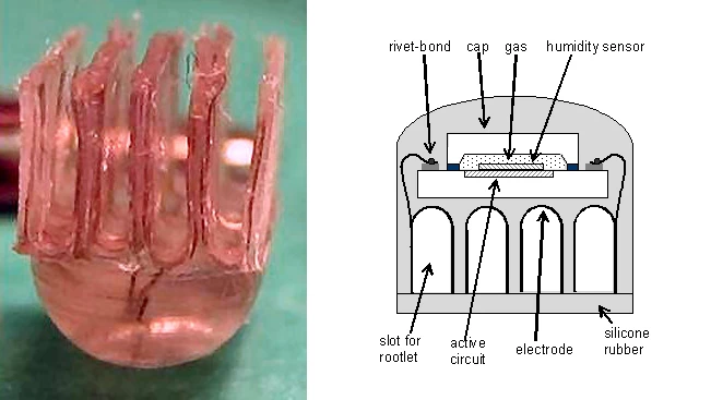 The active electrode book - the four slots close in around the nerve roots like the pages of a book