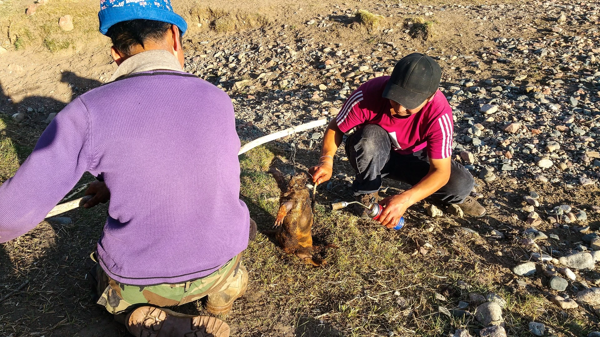 Hunting marmot is illegal in Mongolia - but that doesn't stop the locals. They gut it and stuff a few herbs and onions up its backside, then roast it by blowtorch to remove the hair