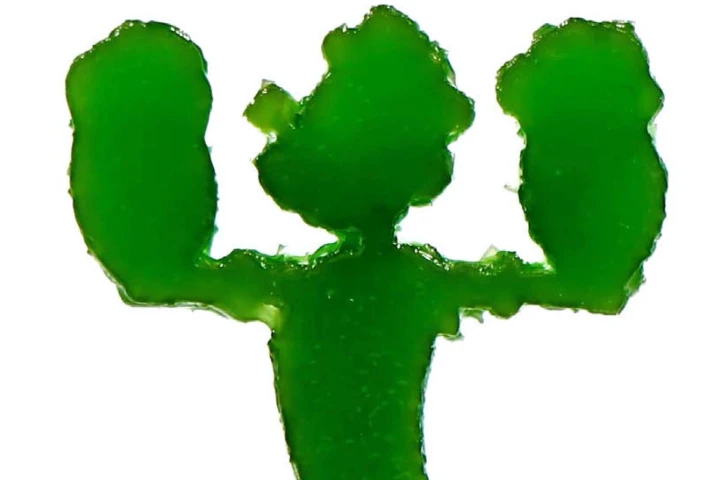 The material (pictured here) was inspired by the cartoon character Popeye the Sailor (also pictured here), who got stronger by eating spinach