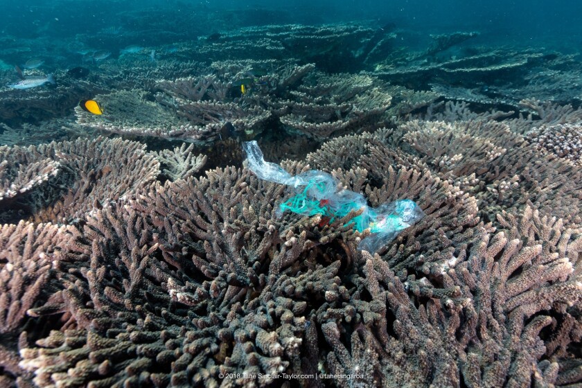 Plastic trash is the latest threat to coral reefs