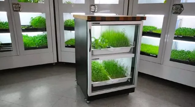 The Urban Cultivator is a computer-controlled hydroponic growing system for herbs and vegetables