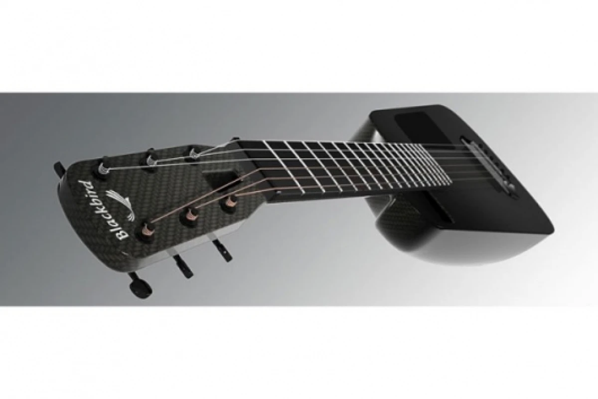Blackbird's Rider carbon fibre acoustic guitar