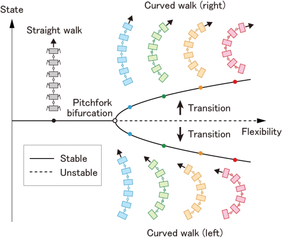 A diagram depicting the robot's stable and unstable walking patterns