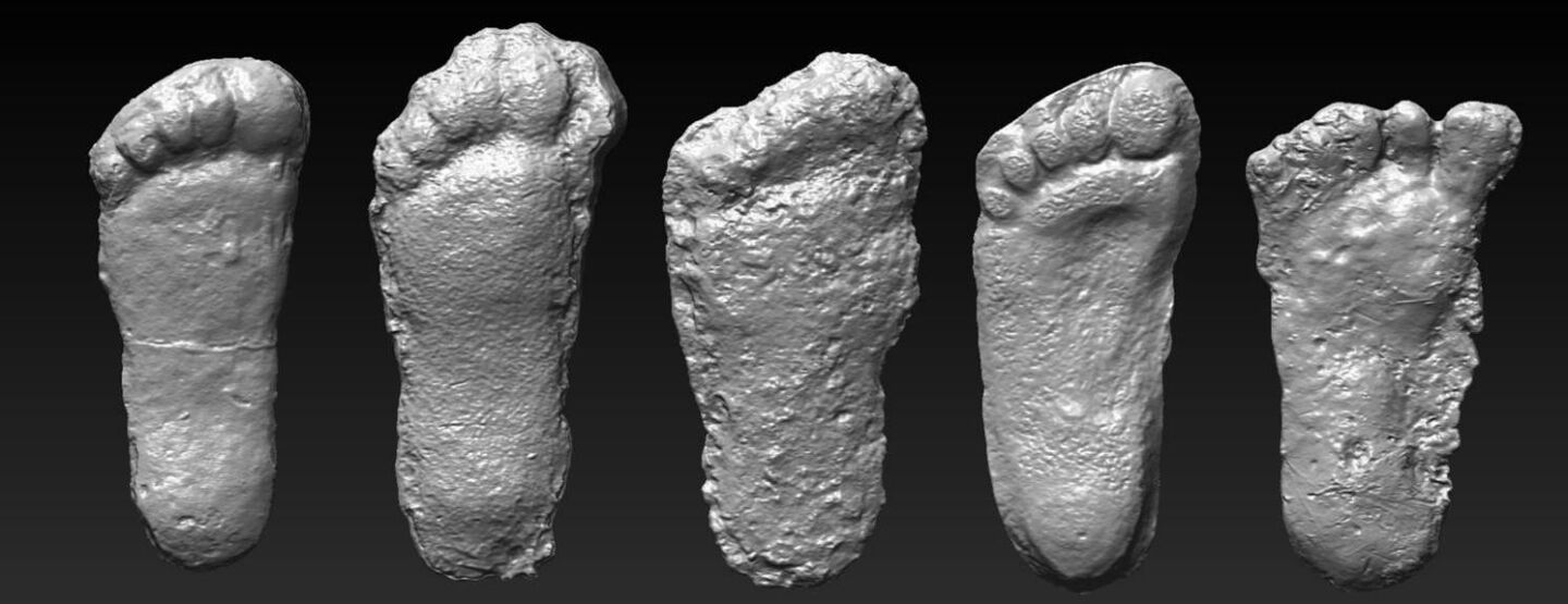 Casts of what could be Bigfoot footprints (Image: Dr. Jeff Meldrum)