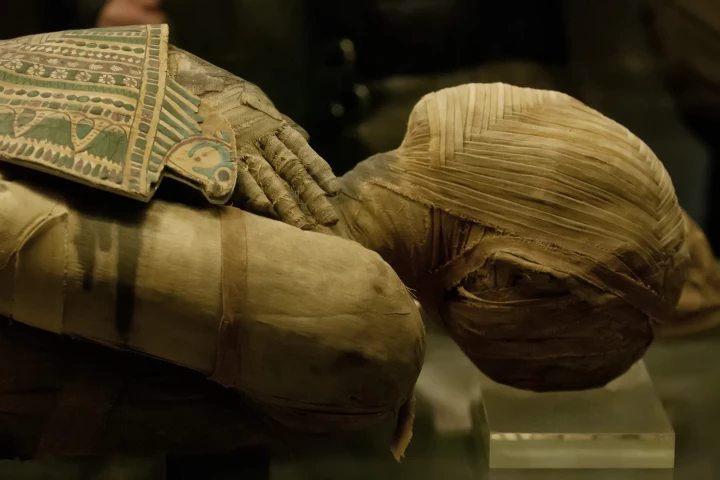 A recently discovered text written around 1450 BCE contains previously unknown details about Egyptian mummification process