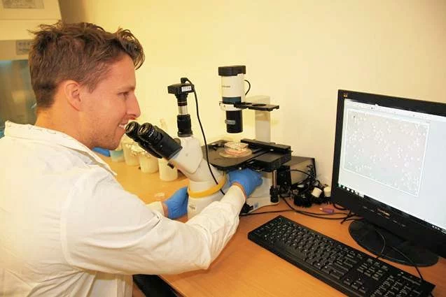 Dr. Jeremy Barr observes growth and the attachment of human lung epithelial cells (Photo: SDSU)