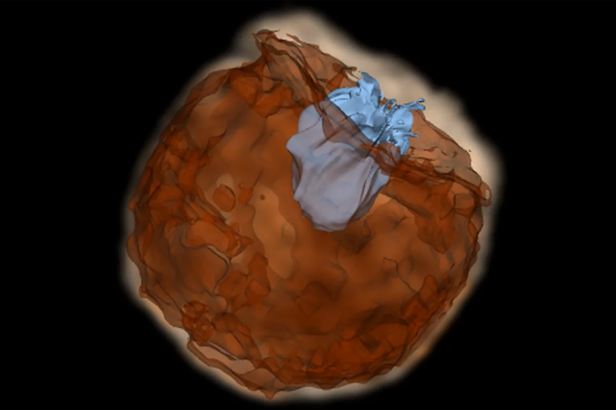 Still from a simulation showing supernova material impacting the companion star at speeds of around 10,000 km per second