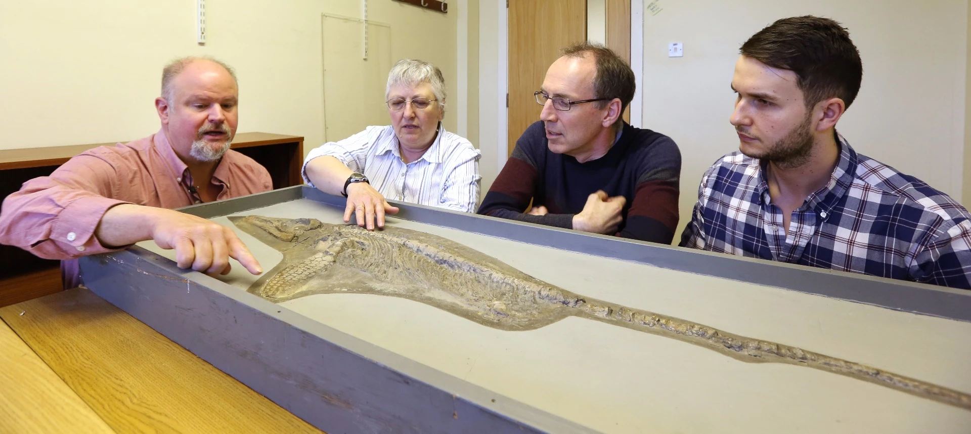Paleontologists have identified fossils of Protoichthyosaurus, a new genus of marine reptile that was originally discovered and contested in the 1970s