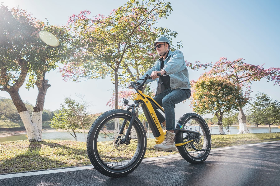 Pedal-assist up to 28 mph, plus twist throttle and mechanical gears