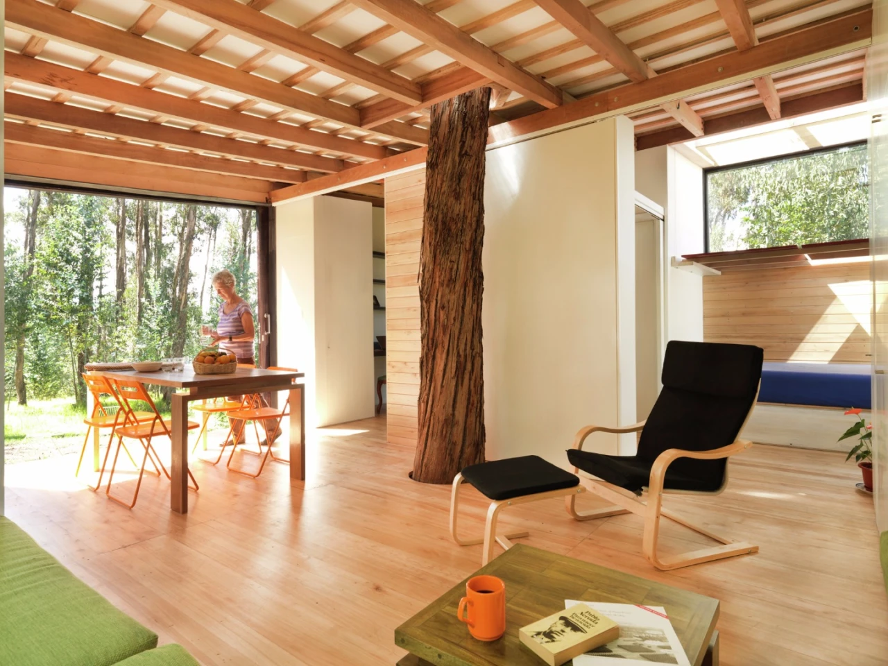 A pre-existing tree bursts its way through the center of the home