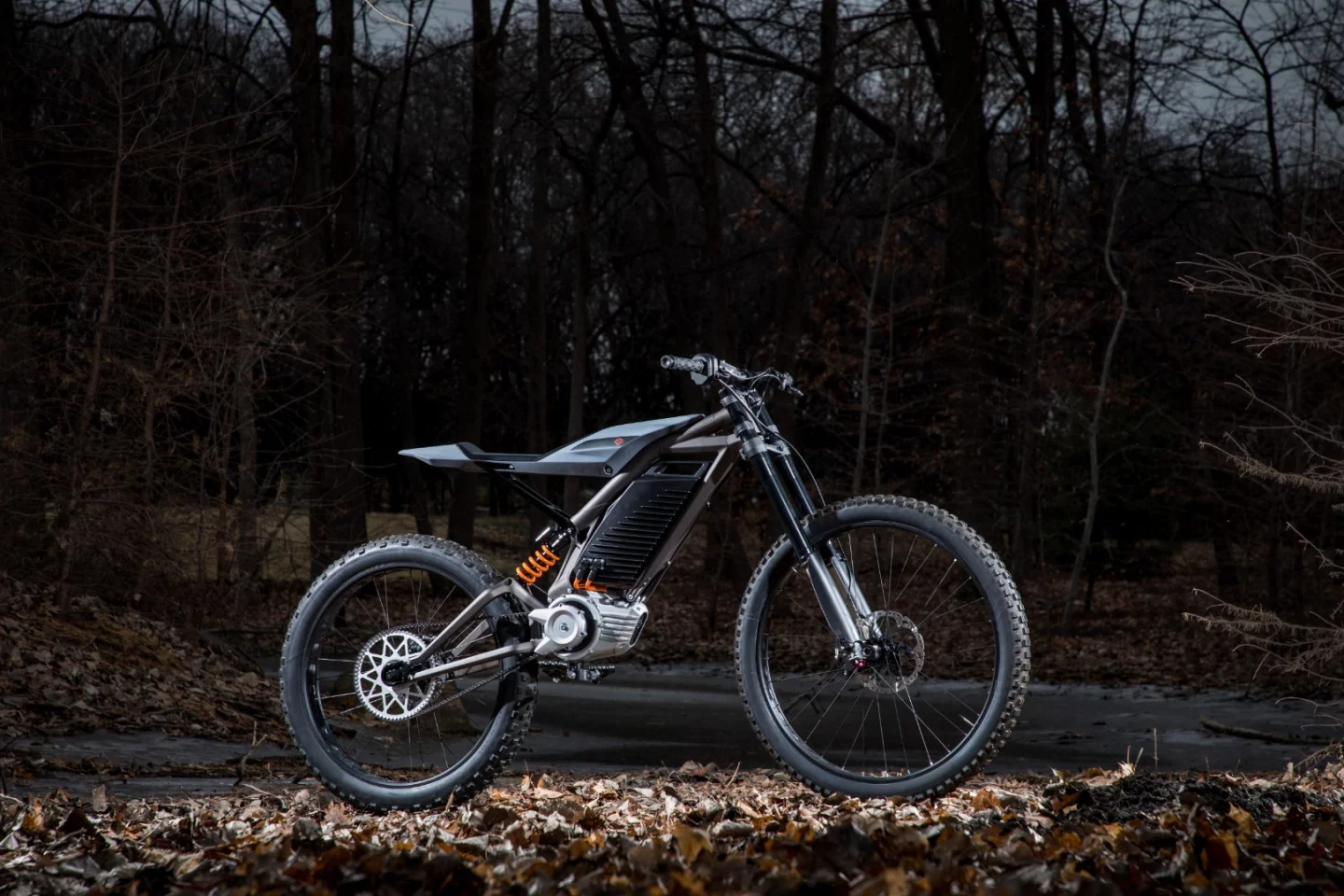It's hard not to compare this off-road ebike to the Sur-Ron Light Bee, an exciting 6-kilowatt trail machine out of China