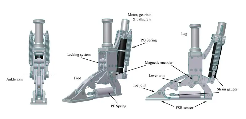 CAD rendering of the AMP-Foot 2.0
