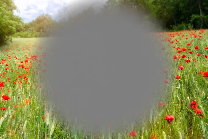 Researchers have used nanotechnology to successfully grow retinal cells