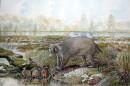 Mukupirna nambensis was over four times the size of a modern wombat