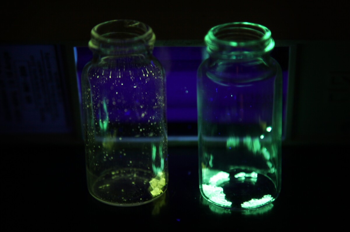 The new phosphors glow yellow and green when triggered by ultraviolet light (Photo: Marcin Szczepanski, U-M College of Engineering)