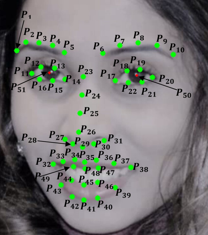 The algorithm analyses the movement of 49 points on the face
