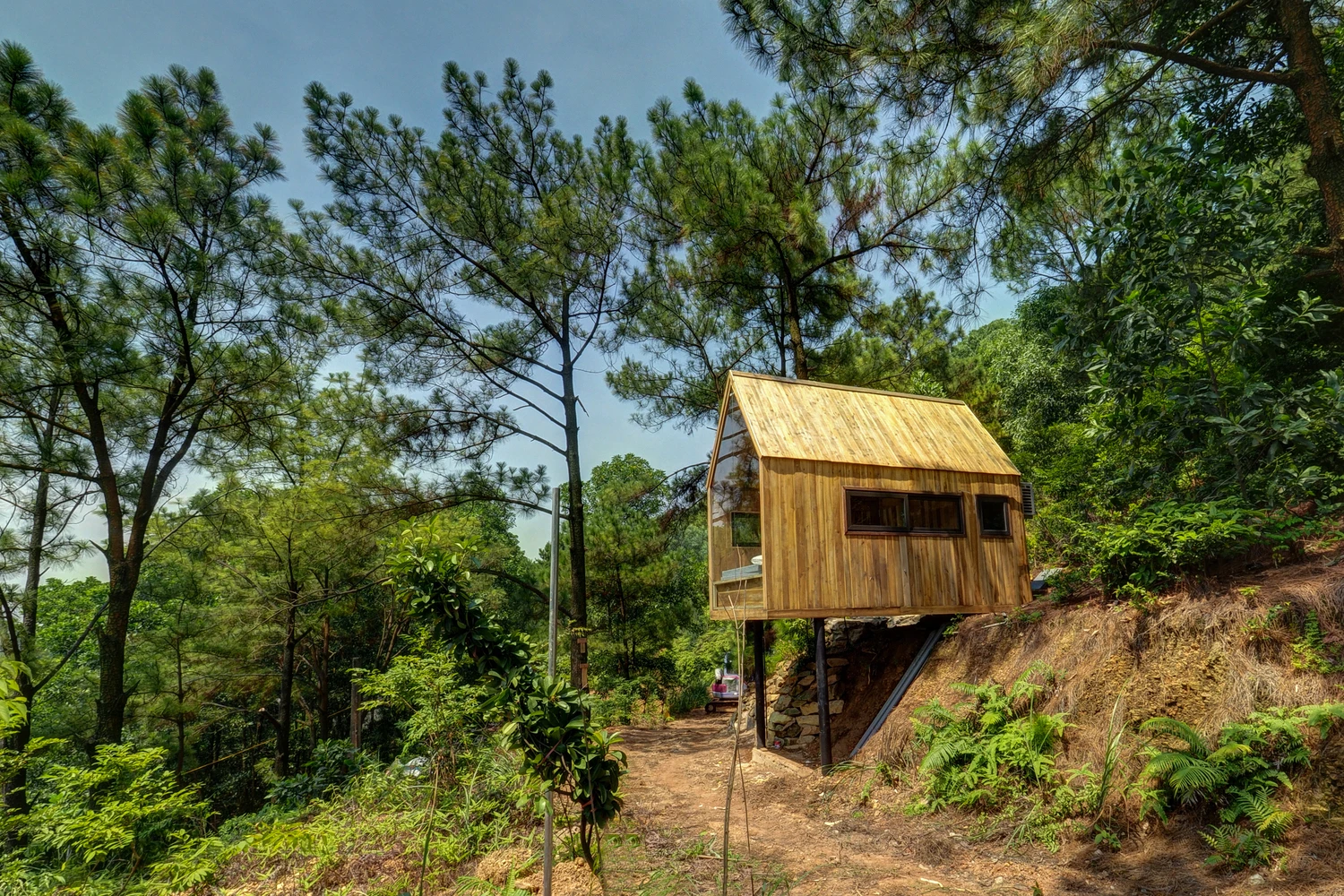 Forest House is a 12-square meter (129 sq ft) home resting on two stilts