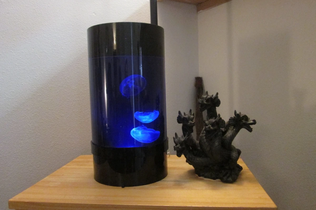 The Jellyfish Cylinder Nano is designed for the jellyfish-keeping novice
